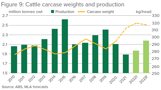 graph showing the actual and forecast production and carcase weights of Australian beef 